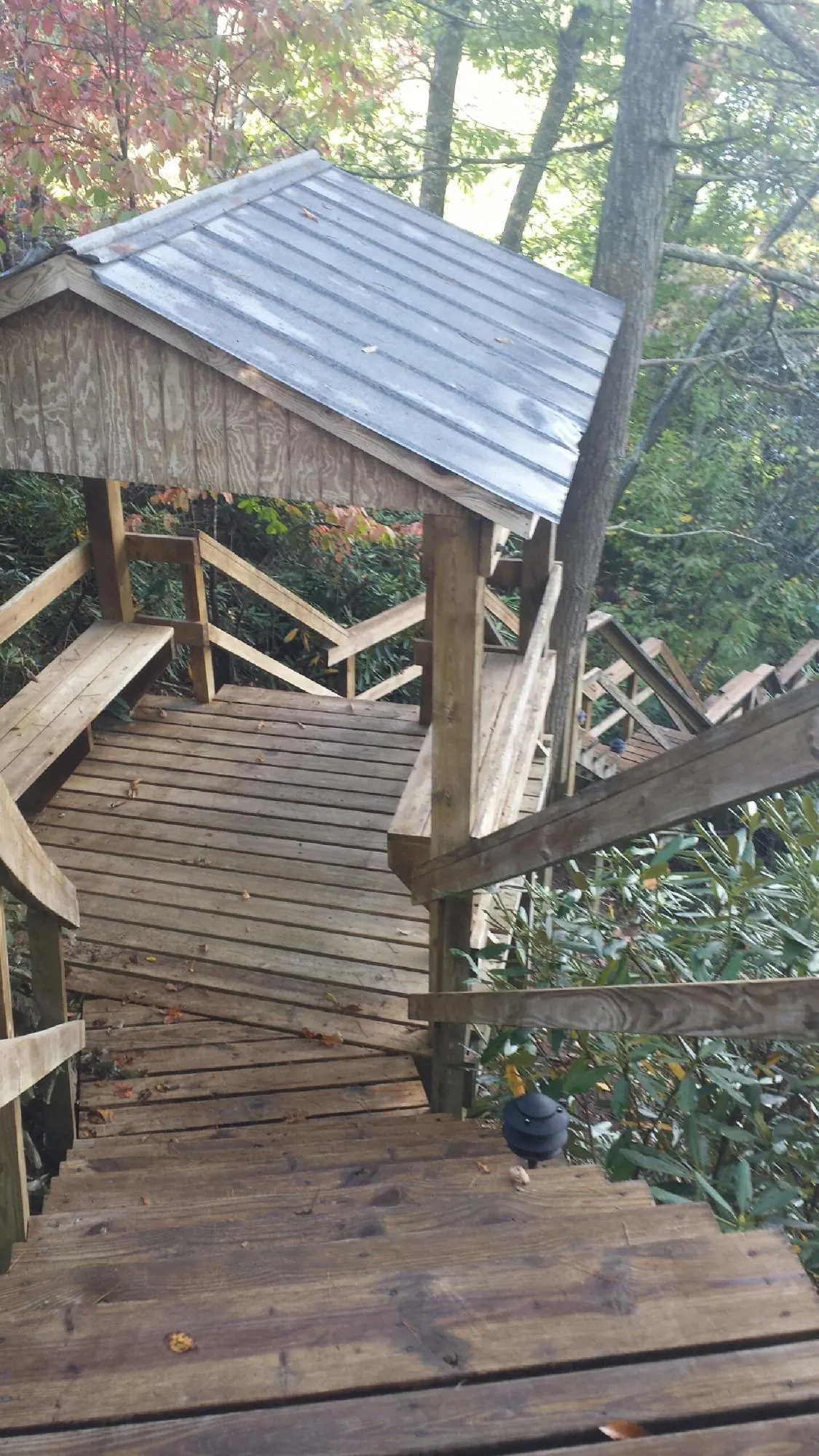Metal roofed shelter over wooden steps on a wooded walkway — Skylight Repair & Installation work by our crew in Mc Causland